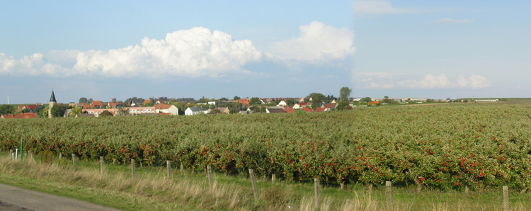 Hoehnstedt Panorama